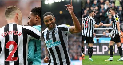 Newcastle 3-1 Southampton player ratings: Callum Wilson scoops star man award after coming off bench