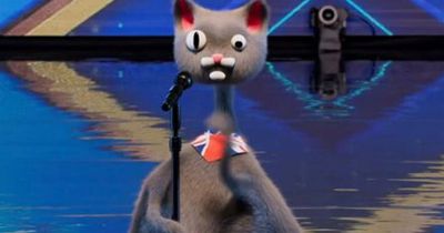Britain's Got Talent viewers think they have worked out the real identity of CGI cat Noodle