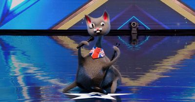 Britain's Got Talent audience member reveals secret behind singing cat as viewers think they've rumbled their identity
