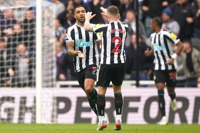 Callum Wilson leads Newcastle fightback over Southampton to move closer to Champions League