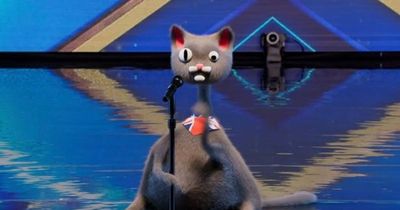 Britain's Got Talent viewers believe they know identity of CGI cat Noodle