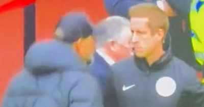 Jurgen Klopp makes beeline for fourth official as Liverpool boss INJURES himself in chaotic Tottenham celebration