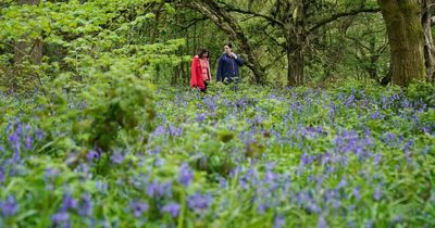 Bank Holiday weather 'bright and warm' with later threat of storms