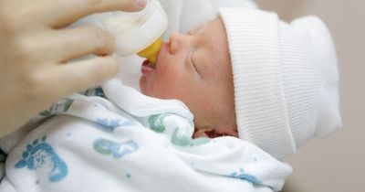 'Breast milk could help the brain development of premature babies born before 37 weeks'