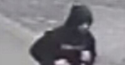 Girl walking on public towpath is sexually assaulted as police release CCTV image of man