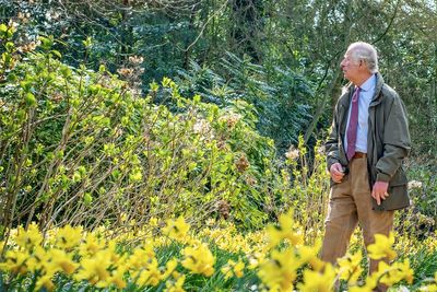 Wildflower seeds for primary schools to mark coronation