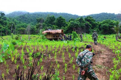 Karen villagers can return to forest, rules committee