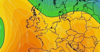 UK weather: Bank Holiday Monday scorcher as temperatures forecast to hit 19C