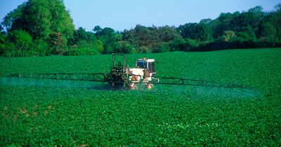 Fears sewage sludge fertiliser polluting farmland and food with 'forever chemicals'