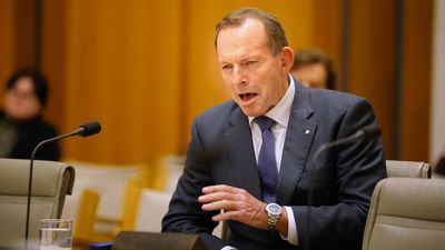 Tony Abbott hits out at proposed Voice to Parliament, attracting a rebuke from Noel Pearson