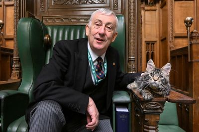 Attlee the cat has done mouse check ahead of coronation – Sir Lindsay Hoyle