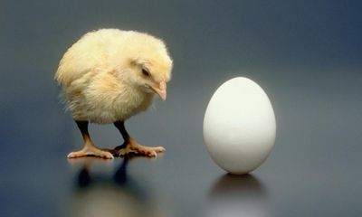 Can you solve it? Chicken or egg