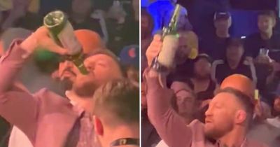 Conor McGregor swigs whiskey from the bottle as star watches bare-knuckle fights