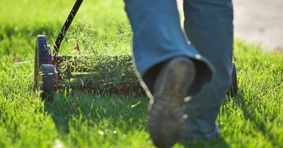 Warning over cutting grass as experts urge people to 'delay until mid-July'