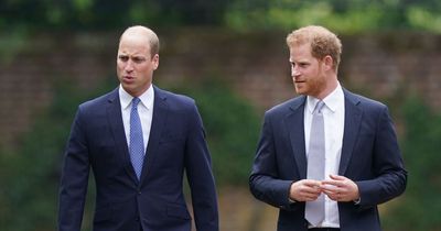 Prince Harry's frosty reunions with William - bombshell text and angry showdown