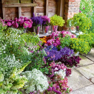 Growing a cut flower patch - Sarah Raven explains how to plant for fresh flowers