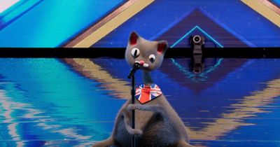 Britain's Got Talent viewers convinced they know identity of CGI cat Noodle