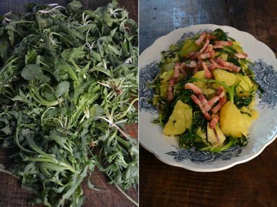 Rachel Roddy’s recipe for potatoes and greens with pancetta or halloumi