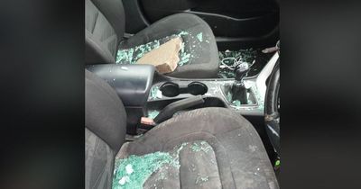 Fury as vandals destroy over TWENTY cars in a matter of days in sudden crime surge