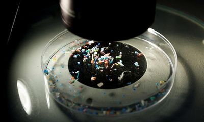 Plastic is already in blood, breast milk, and placentas. Now it may be in our brains