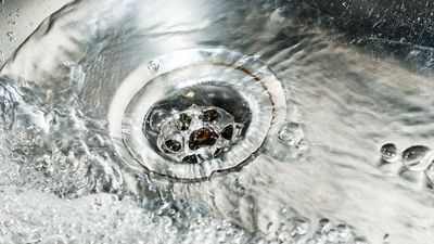 7 things you should never put down the drain