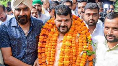 Hang me but wrestling activity should not stop: WFI chief Brij Bhushan