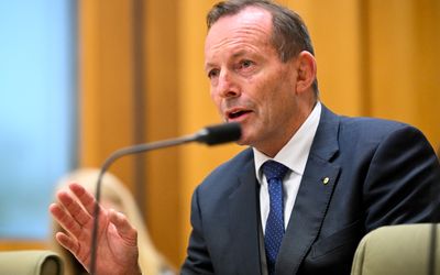 Not so fast: Tony Abbott calls for the Voice referendum to be cancelled