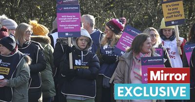 Voters back striking nurses as RCN staff down tools for biggest walkout yet