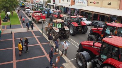 Nationals call for senate inquiry into VNI West overhead powerlines through Victorian farms