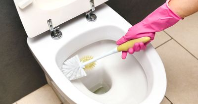 Cleaning fanatics hail 99p staple to flush away tough toilet limescale 'overnight'