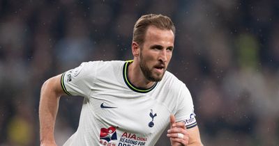 Tottenham offered chance to sign perfect Harry Kane replacement in bargain summer transfer
