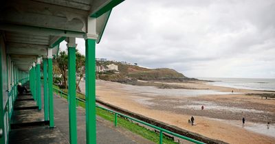 All the beaches where dogs aren't allowed off leads in Swansea until September