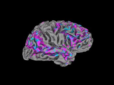 A decoder that uses brain scans to know what you mean — mostly