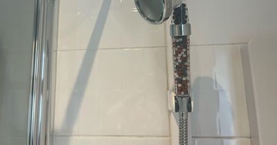 'I slashed £225 off my annual water bill by changing my shower head'