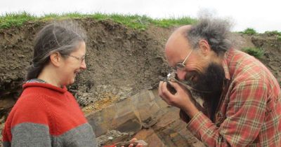 Experts make 'one of the world's greatest fossil discoveries' in Wales