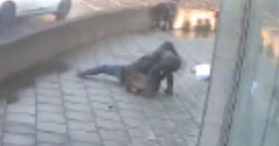 Man tackles massive German Shepherd to ground after it mauls wife in CCTV footage