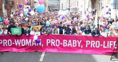Anti-abortion protest criticises call for three-day wait period to be removed