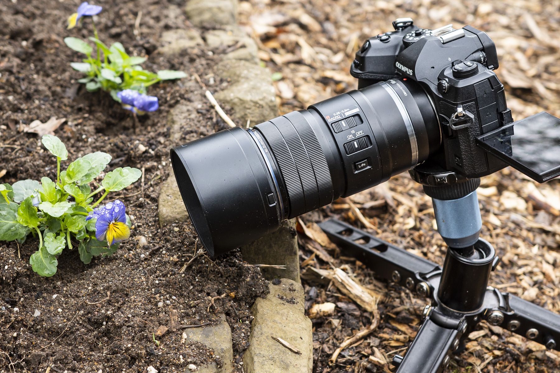 OM System 90mm F3.5 Macro IS PRO review: macro…