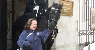 King's Guard horse bites woman and leaves her with giant, 'painful' bruise
