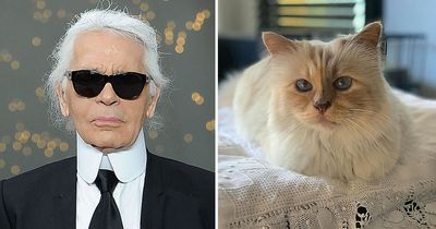 Karl Lagerfeld's beloved cat invited to walk Met Gala red carpet in honour of late owner