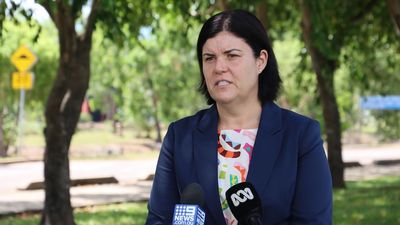 Chief Minister Natasha Fyles apologises to former NT police commissioner over settlement comments