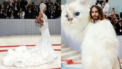 There Are Already 2 Choupette Looks At The 2023 Met Gala I Just Know Anna Wintour Is Seething