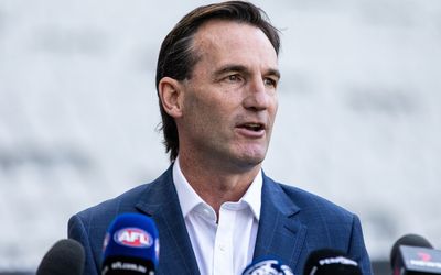 Club presidents tick off Tasmanian AFL licence