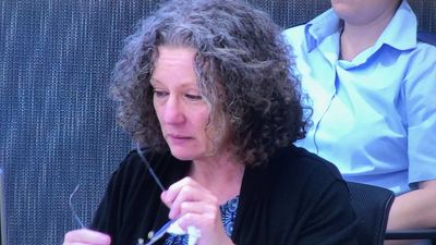 Kathleen Folbigg's legal team seeks parole or pardon from NSW attorney-general