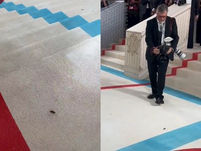 A cockroach on the red carpet turned out to be a Met Gala highlight