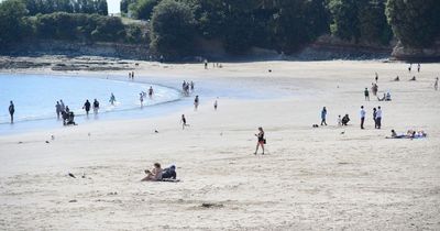 Three people fined after they refused to take their dogs off beach