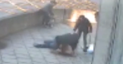 Husband wrestles out-of-control dog to ground after it bit his wife