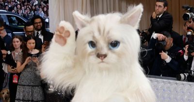 Jared Leto has fans in hysterics dressed as Karl Lagerfeld's cat on Met Gala red carpet