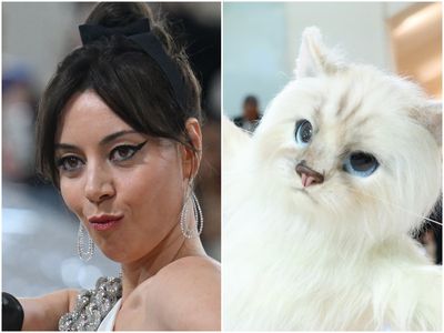 Aubrey Plaza admonishes Jared Leto for giant cat outfit mistake at Met Gala