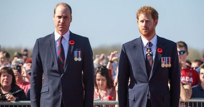 William and Harry's relationship 'on absolute ice' with Coronation chat 'unlikely'